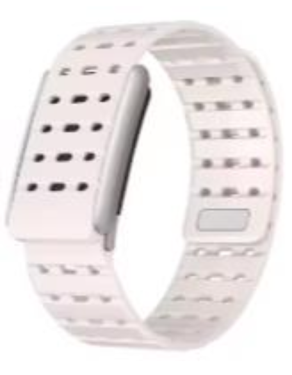 SportFlex Band – Blush Pink